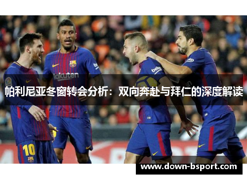 帕利尼亚冬窗转会分析：双向奔赴与拜仁的深度解读