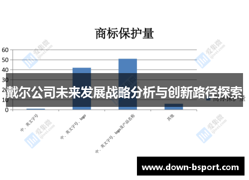 戴尔公司未来发展战略分析与创新路径探索