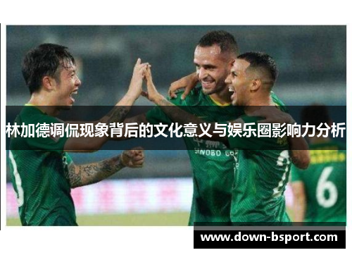 林加德调侃现象背后的文化意义与娱乐圈影响力分析