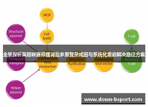 全景探析英超联赛停摆背后多重复杂成因与系统化重启解决路径方案