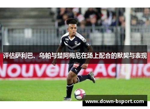 评估萨利巴、乌帕与楚阿梅尼在场上配合的默契与表现