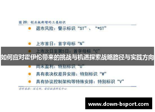 如何应对霍伊伦带来的挑战与机遇探索战略路径与实践方向