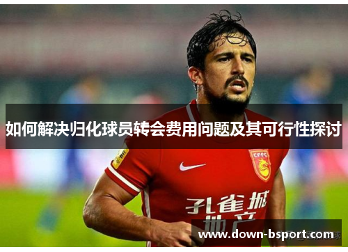 如何解决归化球员转会费用问题及其可行性探讨
