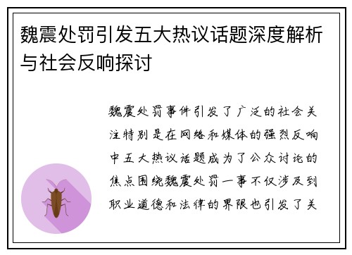 魏震处罚引发五大热议话题深度解析与社会反响探讨